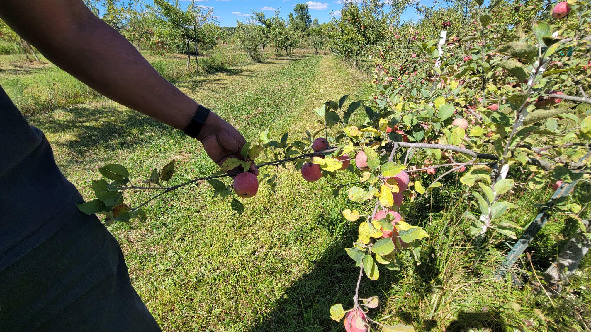 amritafarms